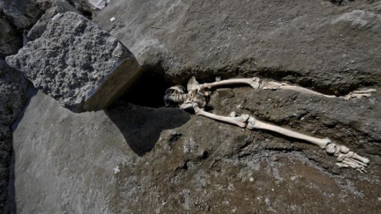Pompeii boulder skeleton