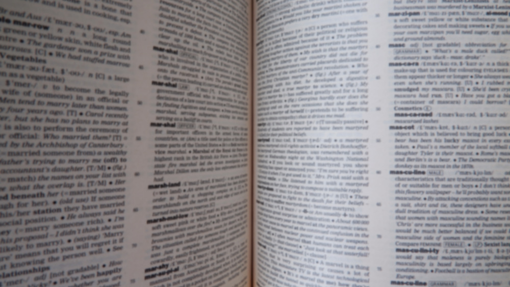 dictionary pages showing words and definitions