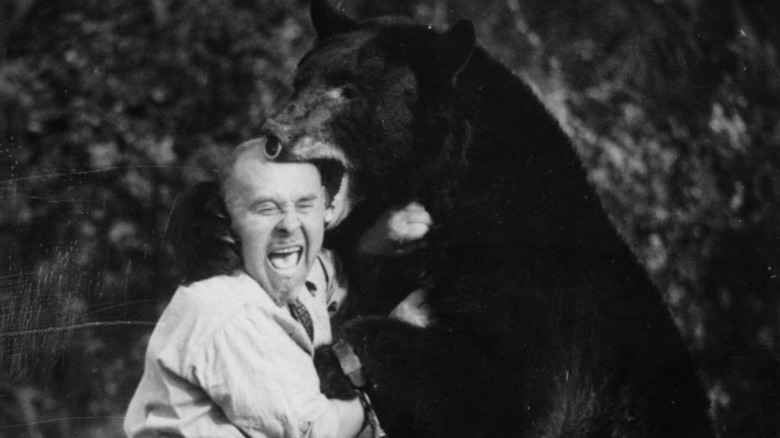 A man wrestling a bear.