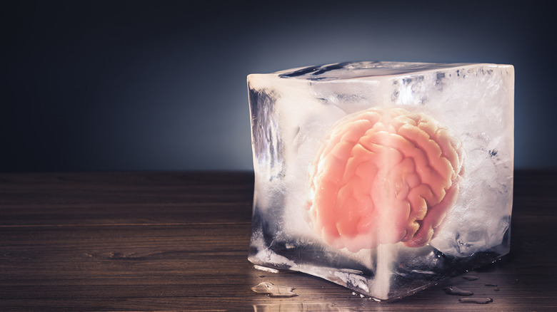 A brain frozen in an ice block