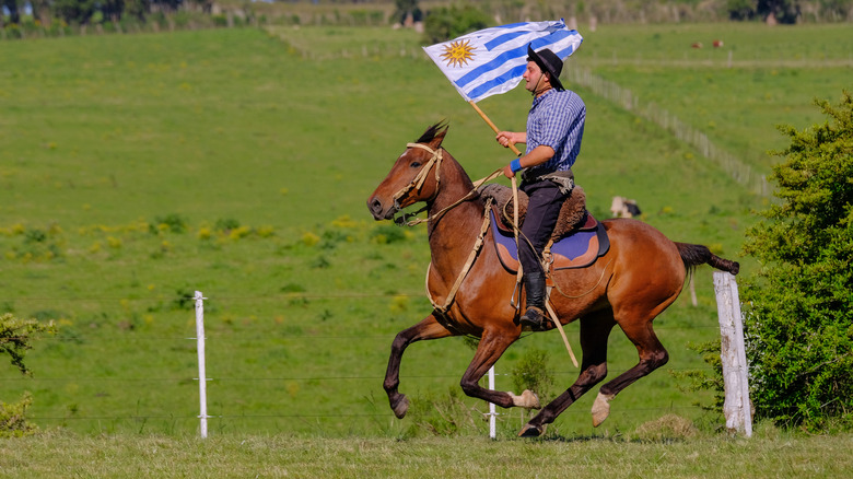 Horseback riding in Argentina