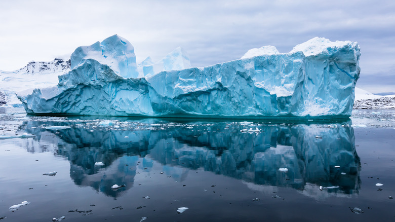 antarctic ice and water