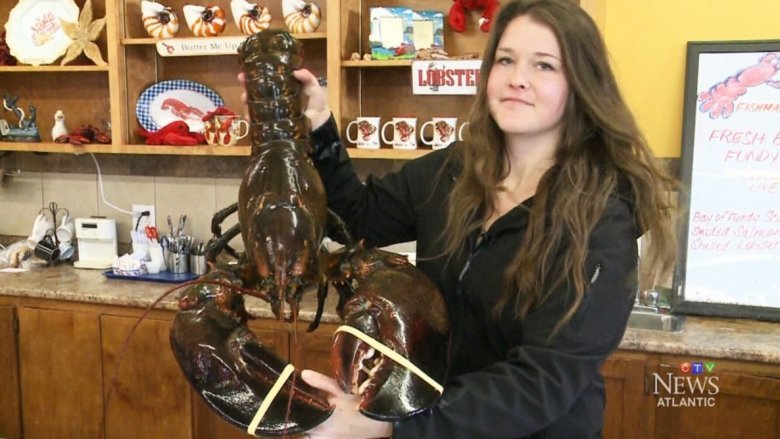 huge lobster