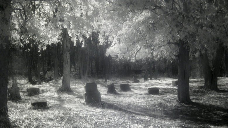 The Madonna of Bachelor's Grove