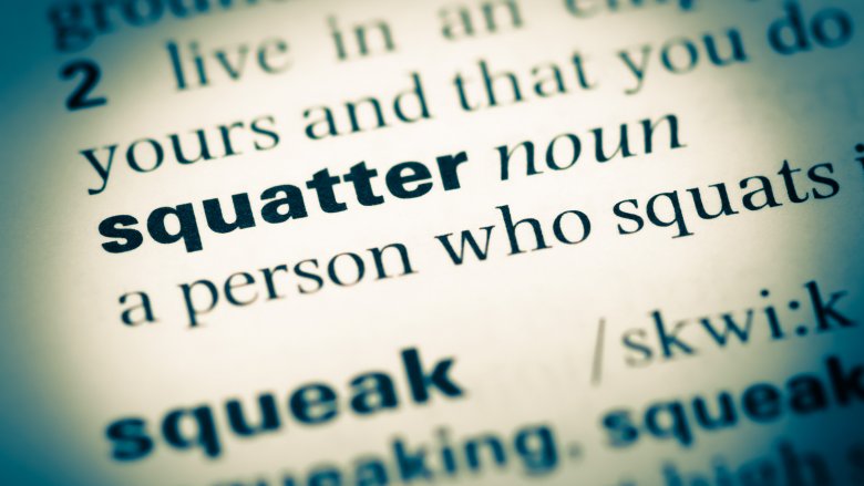 dictionary squatter