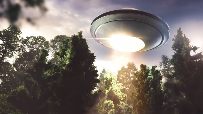 ufo over forest