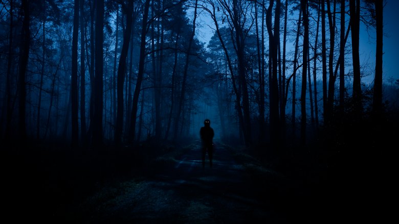 creepy forest nighttime