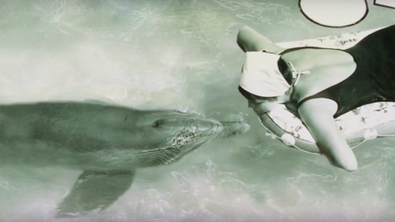 Margaret Howe Lovatt dolphin