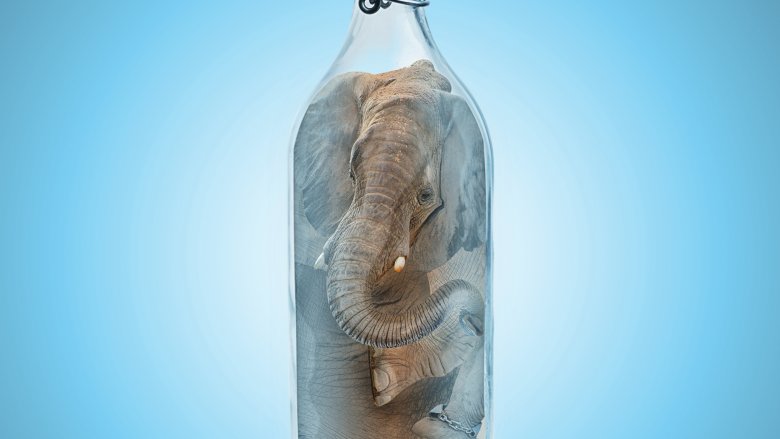 elephant in bottle