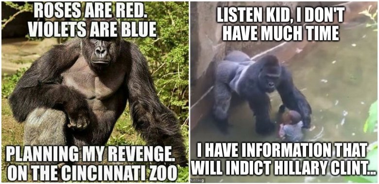 harambe memes