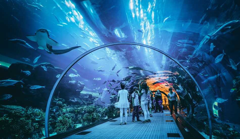 Aquarium Proposal
