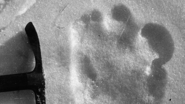 Yeti footprint