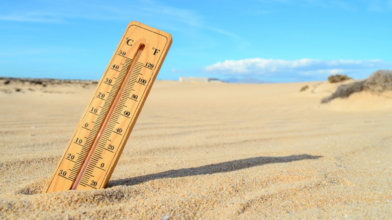 sahara desert temperature