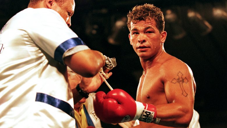 arturo gatti boxer