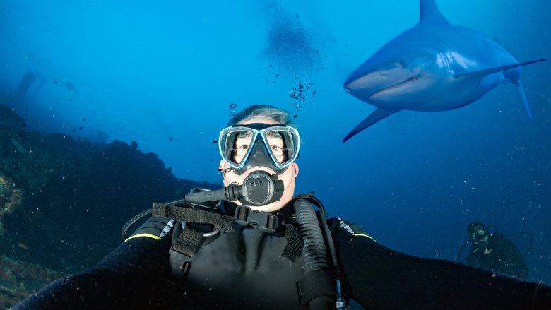 Selfie with shark