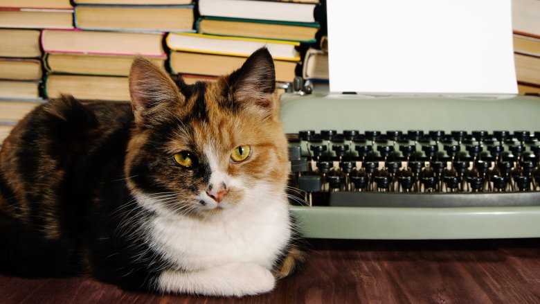 Cat with a typewriter
