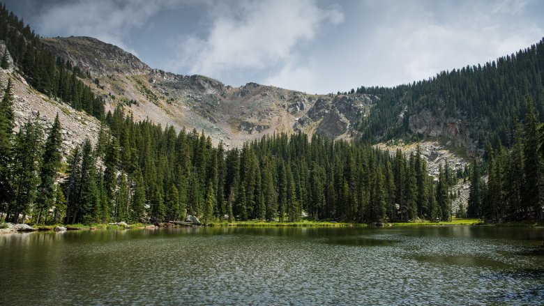 Santa Fe National Forest 