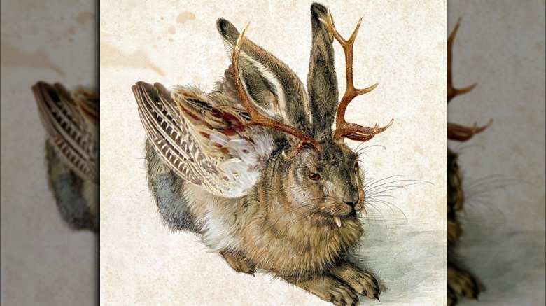 wolpertinger jackalope 1509 drawing