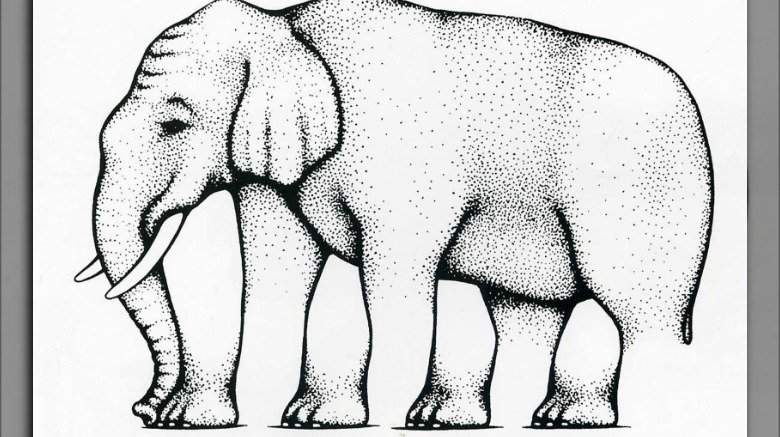 Shepard elephant/impossible elephant