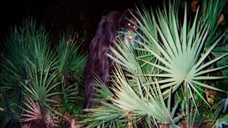 skunk ape