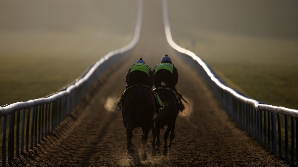 Horse, Green Monkey, Racing