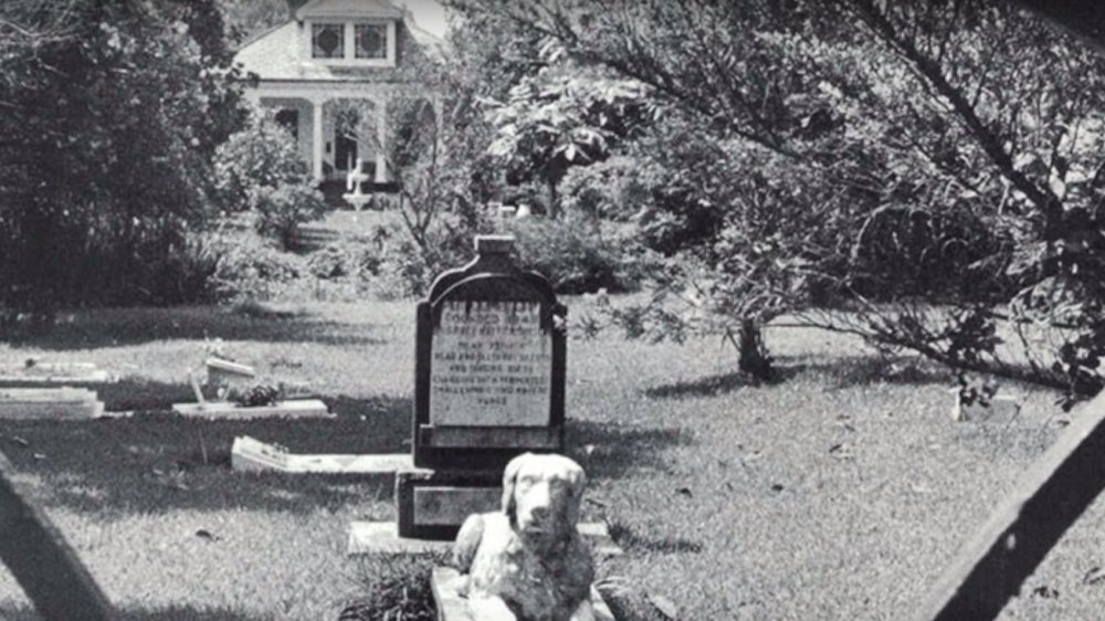 New Orleans, Pet Cemetery