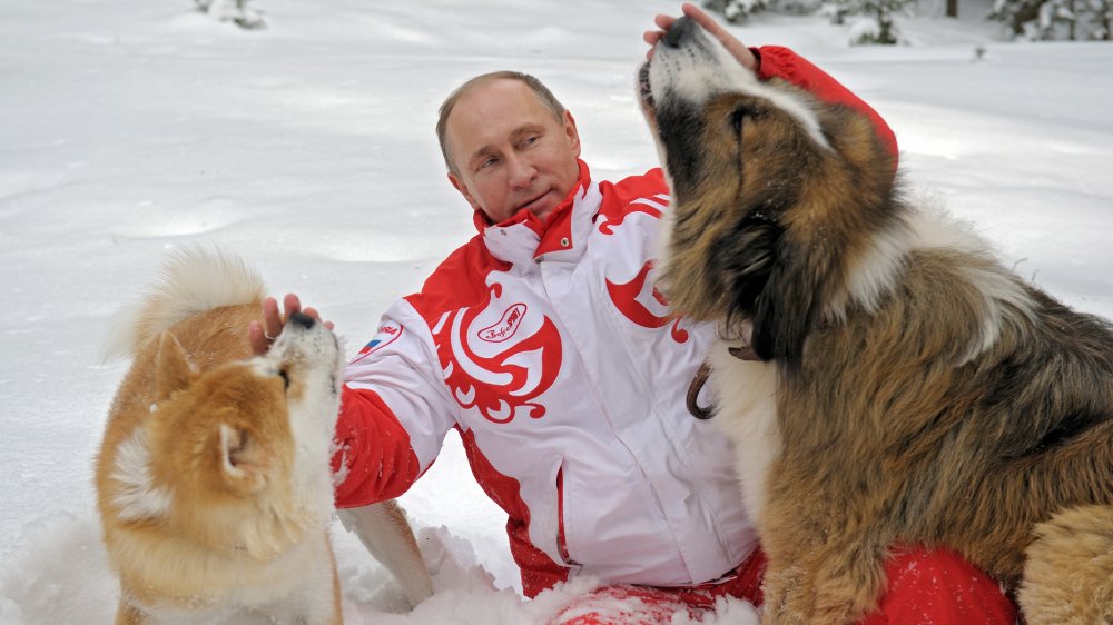 Putin Puppy
