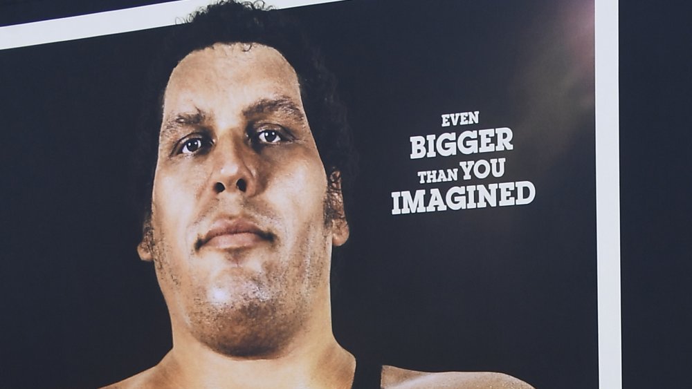 Andre the Giant