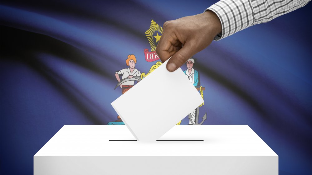 election ballot vote