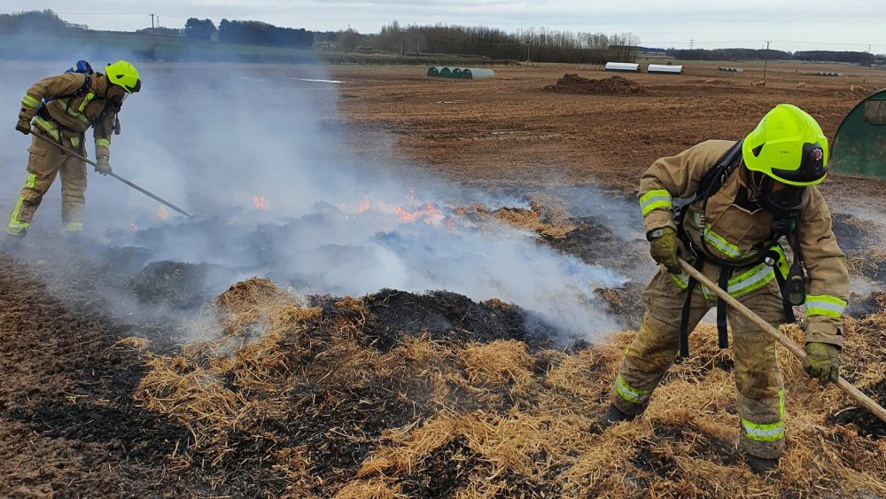 Farm fire caused by pig
