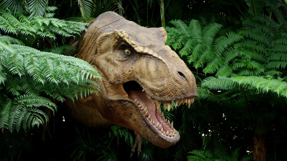 t-rex head in jungle