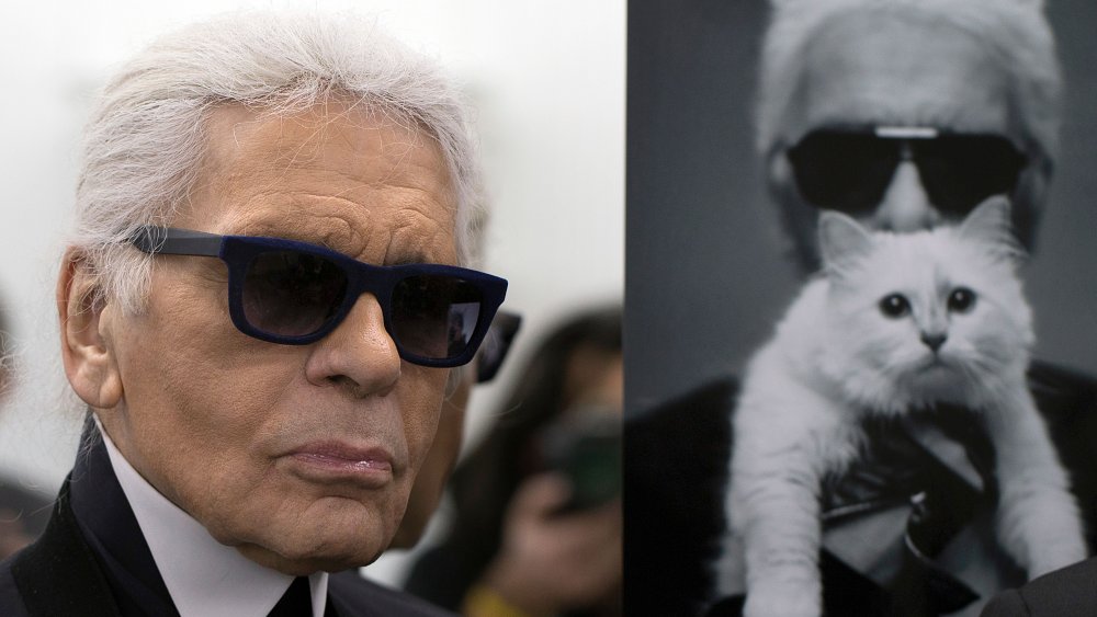 Karl Lagerfeld with cat
