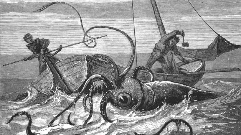giant squid, boat, attack
