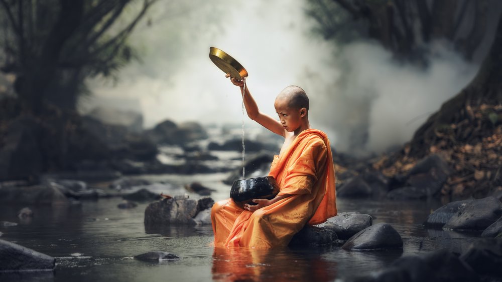 buddhist novice