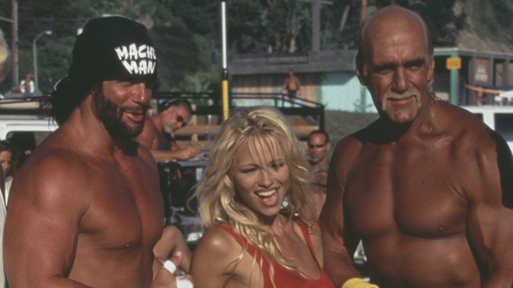 Randy Savage, Pam Anderson, Hulk Hogan
