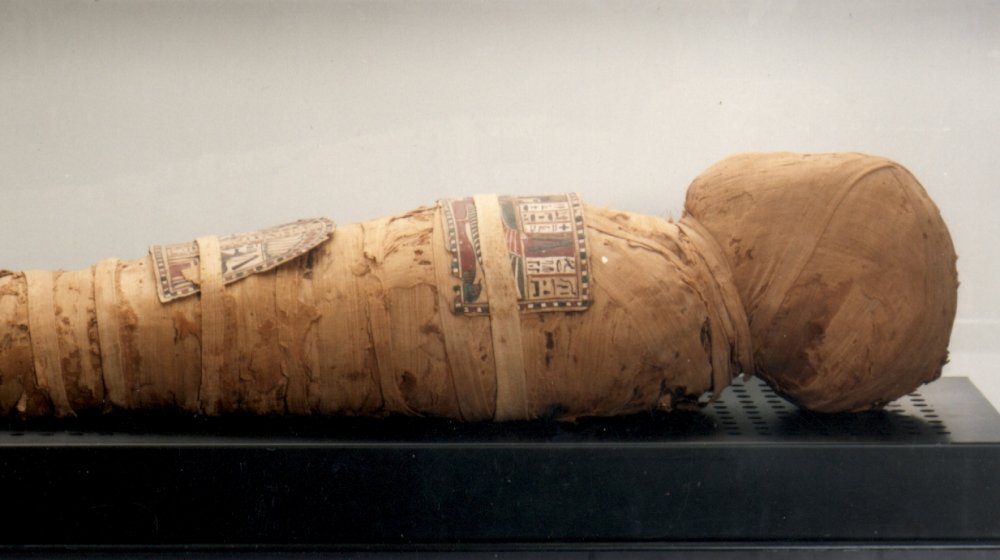 egyptian mummy