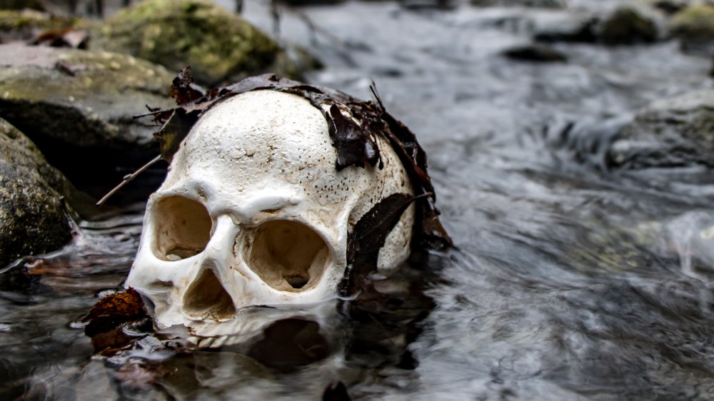 A sunken human skull