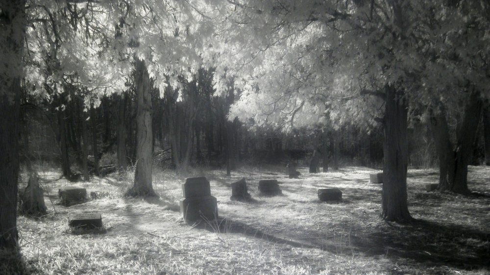 Infrared picture of Backelor's Grove Cemetery outside Chicago, Illinois