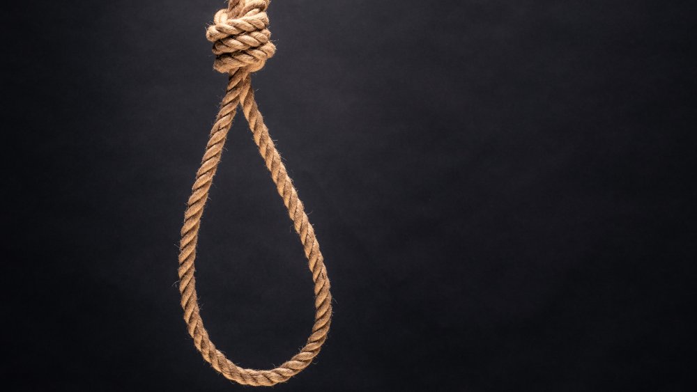  A representational image of a noose