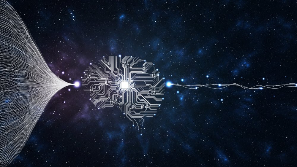 An illustration of a brain taking in information.