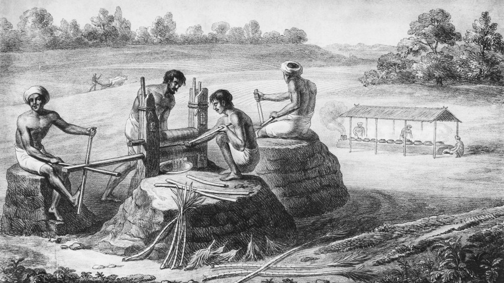 Plantation workers crushing sugar cane, circa 1822. 