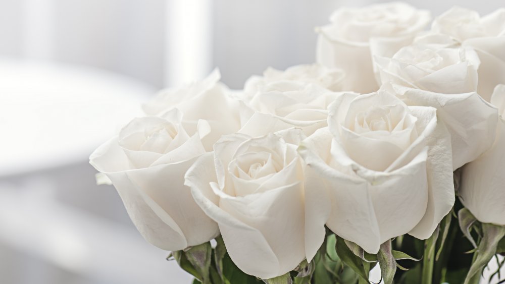 White roses