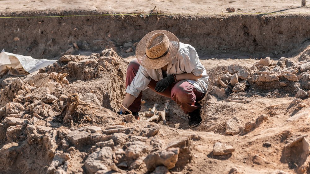 Archaeologist