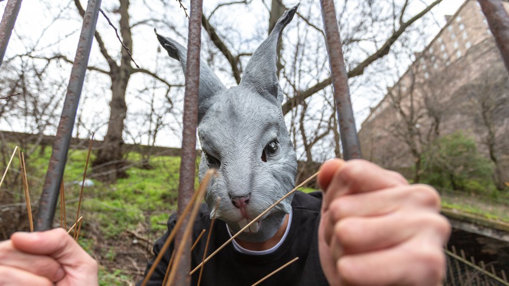 Creepy bunny costume