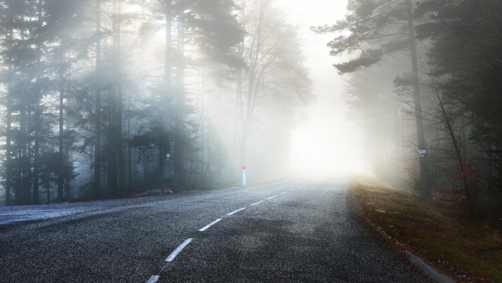 Scary, foggy road