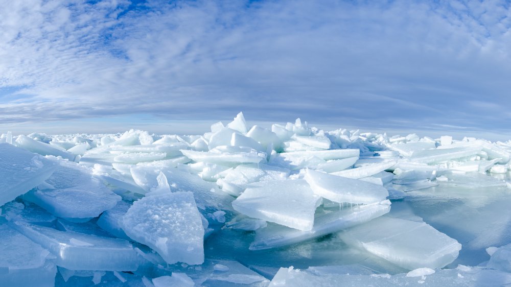 Ice floes on the Baltic Sea