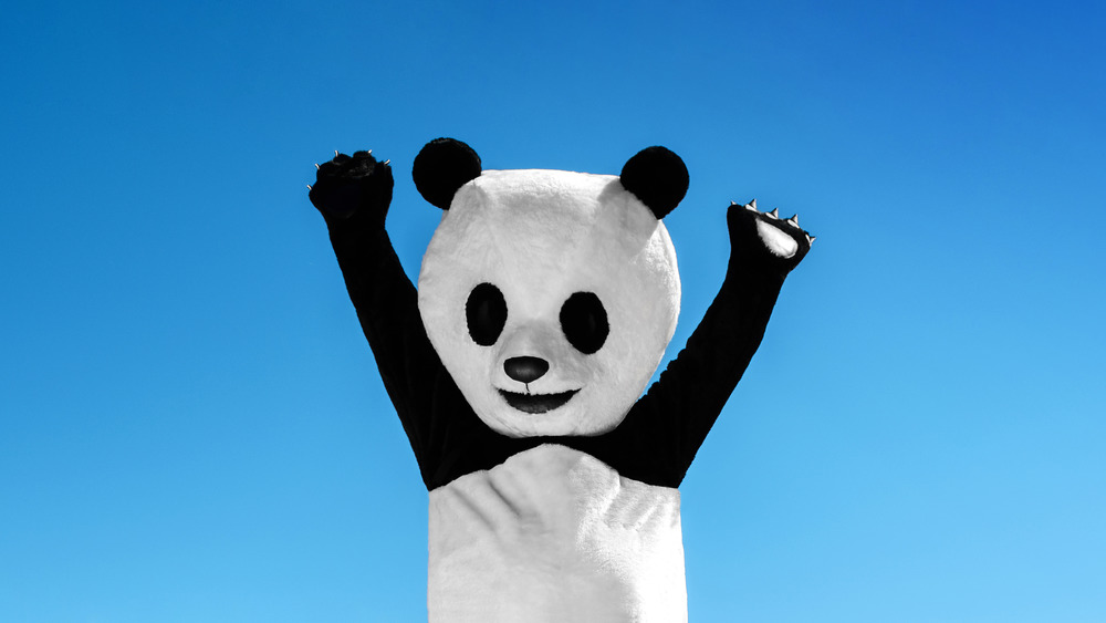Man in a panda suit waving in the sky