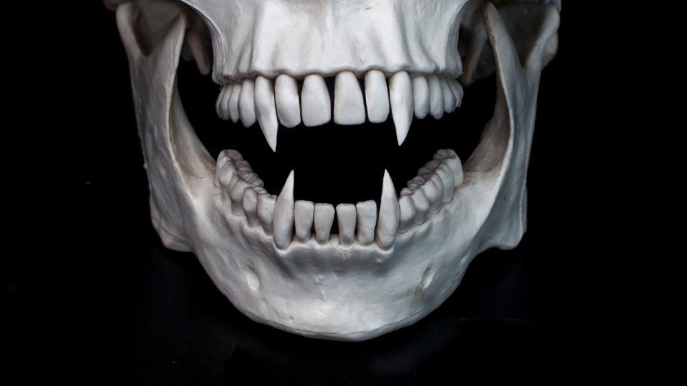 Vampire skull