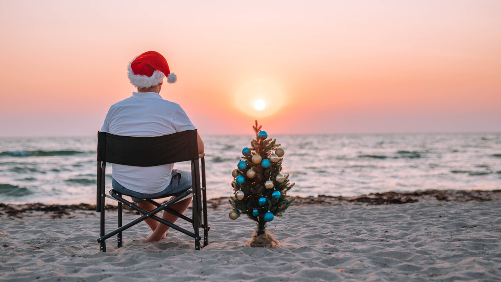 Man sitting with Christmas tree on the beach.