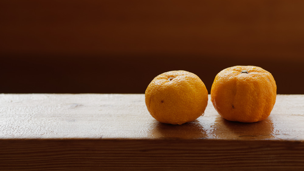 Fruits of yuzu on the edge of a wooden bath at Japanese onsen. Bath with yuzu, also known as yuzuyu and yuzuburo, traditionally taken during winter solstice, a custom that dates to early 18th century.